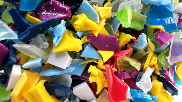 Recyclate collected by Labcycle, which will be made into new petri-dishes by White Horse Plastics